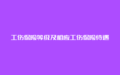 工伤保险等级及相应工伤保险待遇