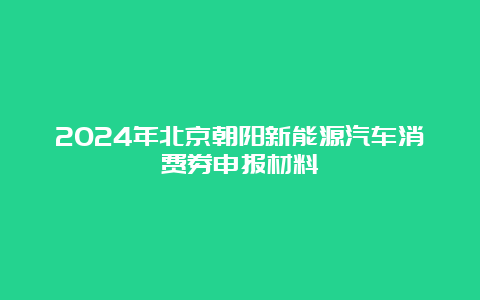 2024年北京朝阳新能源汽车消费券申报材料