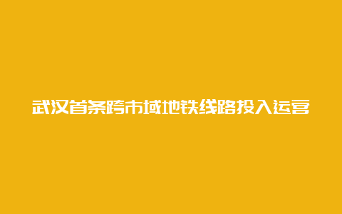 武汉首条跨市域地铁线路投入运营