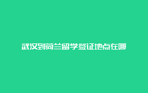 武汉到荷兰留学签证地点在哪