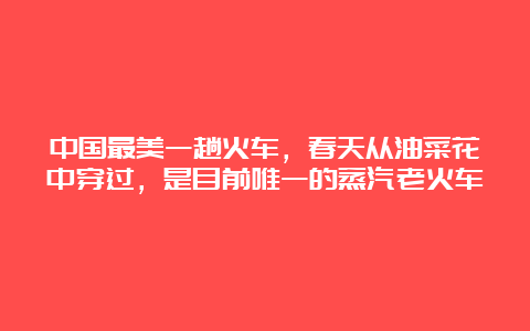 中国最美一趟火车，春天从油菜花中穿过，是目前唯一的蒸汽老火车