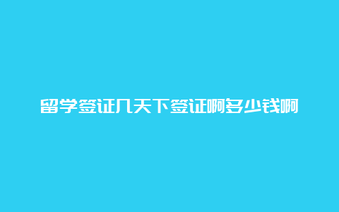 留学签证几天下签证啊多少钱啊