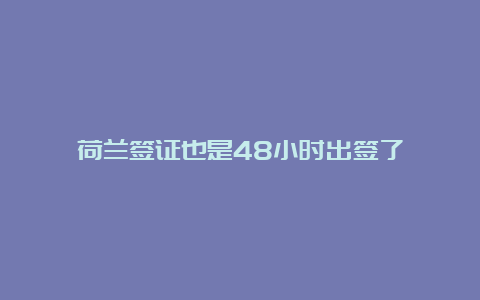 荷兰签证也是48小时出签了