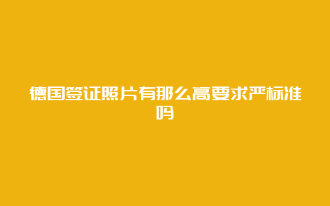 德国签证照片有那么高要求严标准吗