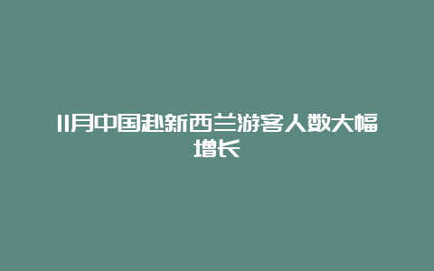 11月中国赴新西兰游客人数大幅增长