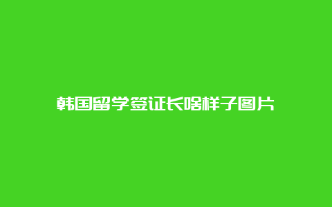 韩国留学签证长啥样子图片