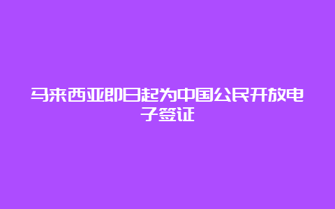 马来西亚即日起为中国公民开放电子签证