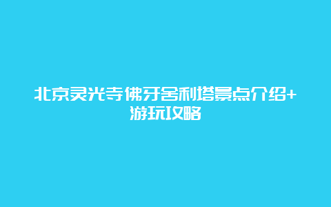 北京灵光寺佛牙舍利塔景点介绍+游玩攻略