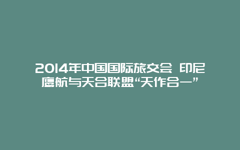 2014年中国国际旅交会 印尼鹰航与天合联盟“天作合一”