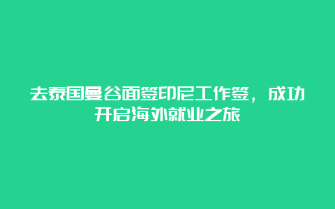 去泰国曼谷面签印尼工作签，成功开启海外就业之旅