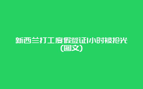 新西兰打工度假签证1小时被抢光(图文)