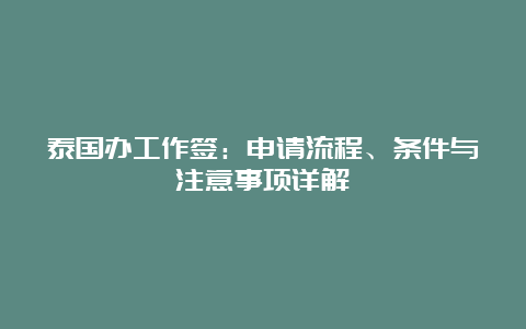 泰国办工作签：申请流程、条件与注意事项详解