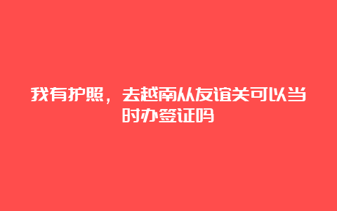 我有护照，去越南从友谊关可以当时办签证吗