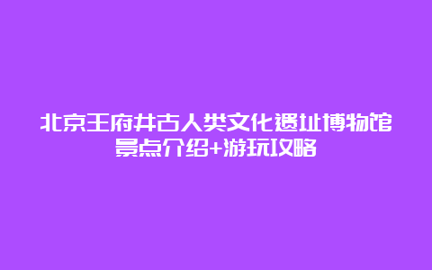 北京王府井古人类文化遗址博物馆景点介绍+游玩攻略