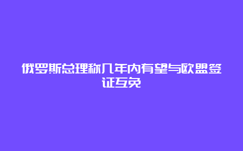 俄罗斯总理称几年内有望与欧盟签证互免