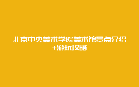 北京中央美术学院美术馆景点介绍+游玩攻略