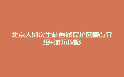 北京大滩次生林自然保护区景点介绍+游玩攻略