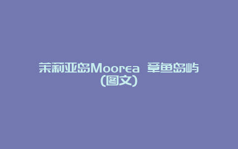 茉莉亚岛Moorea 章鱼岛屿(图文)