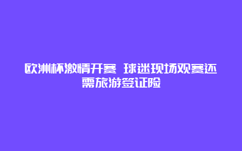 欧洲杯激情开赛 球迷现场观赛还需旅游签证险