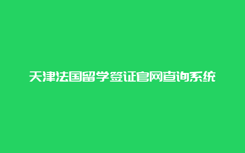 天津法国留学签证官网查询系统