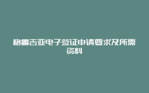 格鲁吉亚电子签证申请要求及所需资料