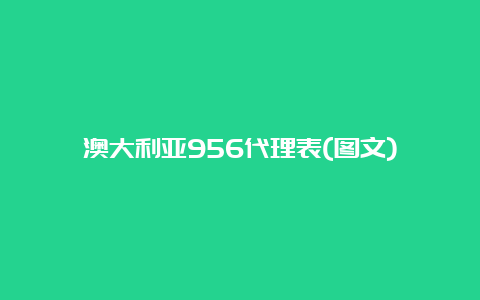 澳大利亚956代理表(图文)