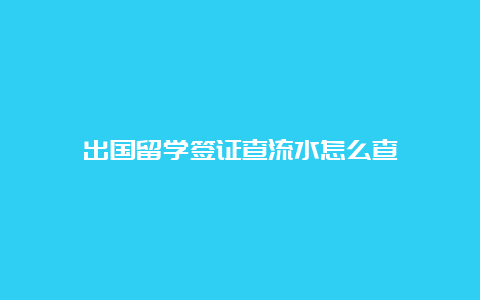 出国留学签证查流水怎么查