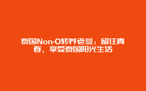 泰国Non-O转养老签：留住青春，享受泰国阳光生活