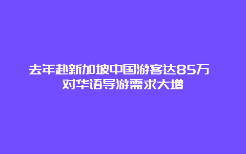 去年赴新加坡中国游客达85万 对华语导游需求大增