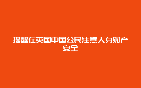 提醒在英国中国公民注意人身财产安全