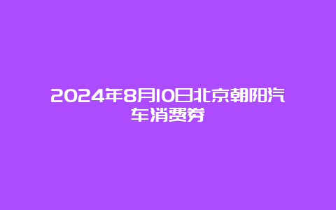 2024年8月10日北京朝阳汽车消费券