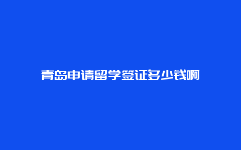 青岛申请留学签证多少钱啊