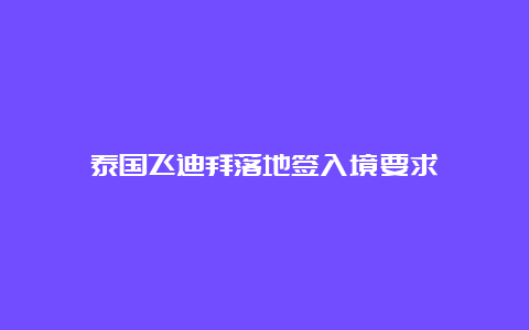 泰国飞迪拜落地签入境要求