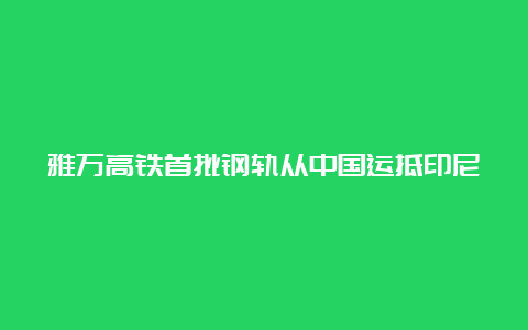 雅万高铁首批钢轨从中国运抵印尼