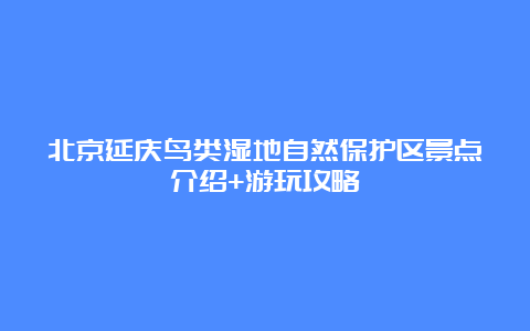 北京延庆鸟类湿地自然保护区景点介绍+游玩攻略