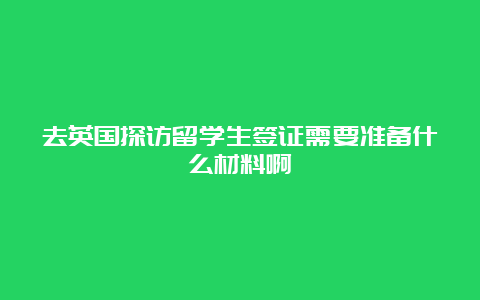 去英国探访留学生签证需要准备什么材料啊