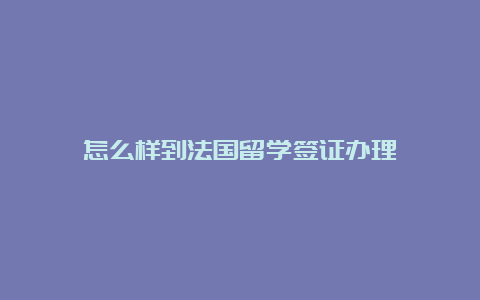 怎么样到法国留学签证办理