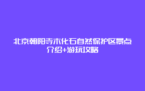 北京朝阳寺木化石自然保护区景点介绍+游玩攻略