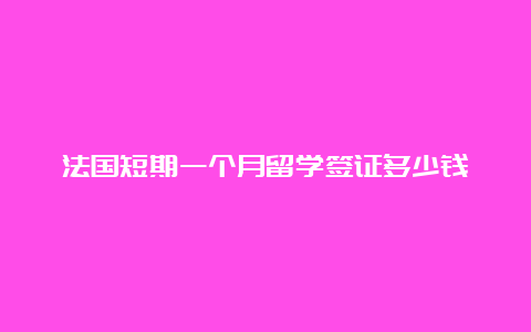 法国短期一个月留学签证多少钱