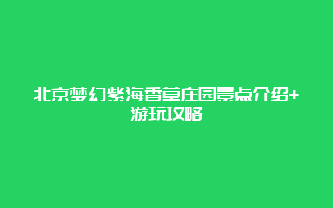 北京梦幻紫海香草庄园景点介绍+游玩攻略