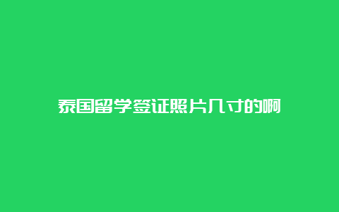 泰国留学签证照片几寸的啊