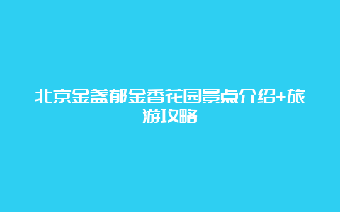 北京金盏郁金香花园景点介绍+旅游攻略