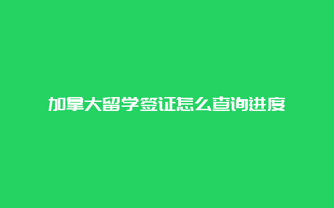 加拿大留学签证怎么查询进度