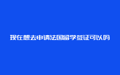 现在想去申请法国留学签证可以吗