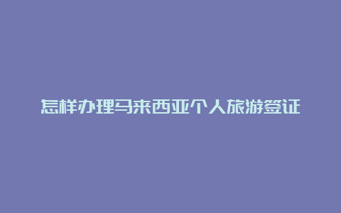 怎样办理马来西亚个人旅游签证