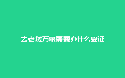 去老挝万象需要办什么签证