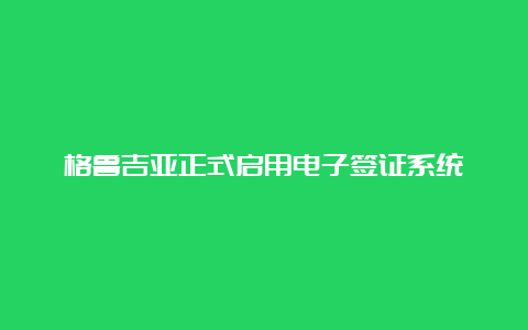 格鲁吉亚正式启用电子签证系统