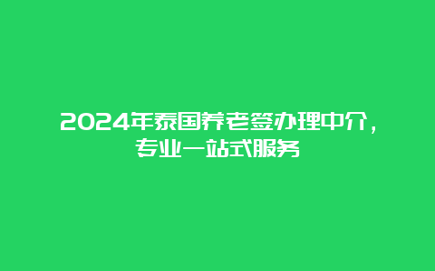 2024年泰国养老签办理中介，专业一站式服务