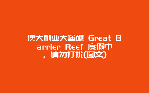 澳大利亚大堡礁 Great Barrier Reef 度假中，请勿打扰(图文)