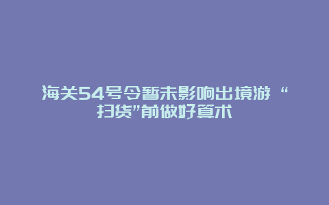 海关54号令暂未影响出境游 “扫货”前做好算术